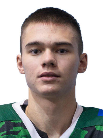 Востриков Илья Вячеславович